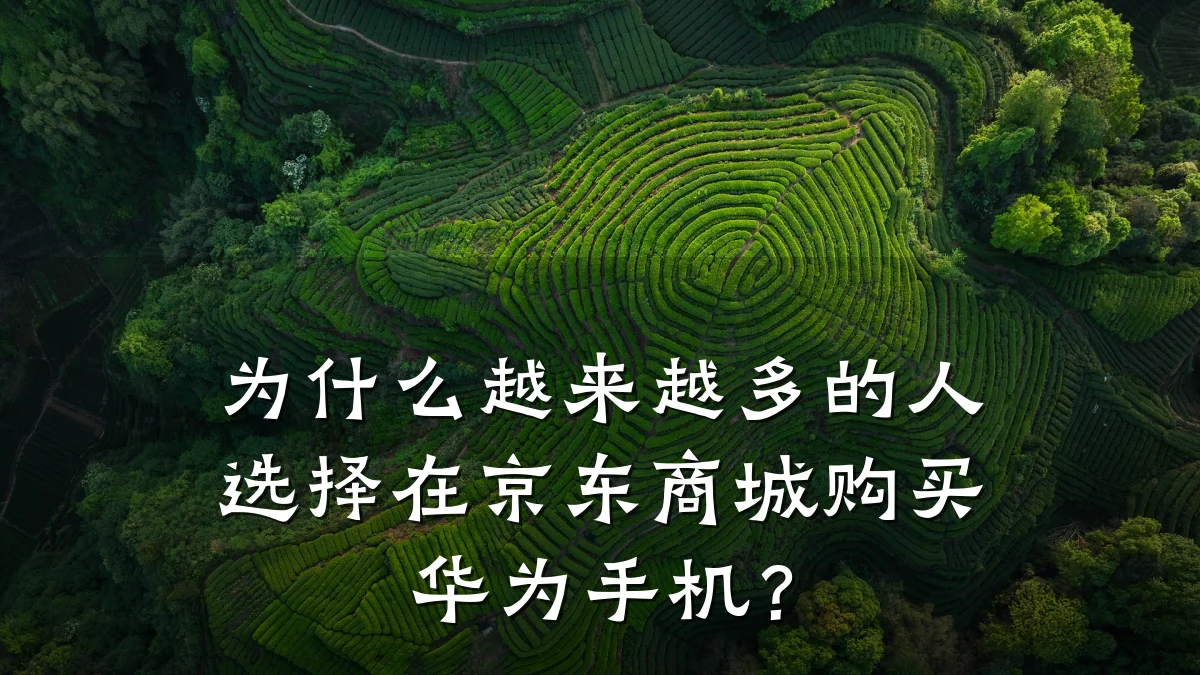 为什么越来越多的人选择在京东商城购买华为手机？