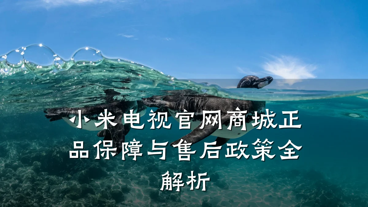 小米电视官网商城正品保障与售后政策全解析