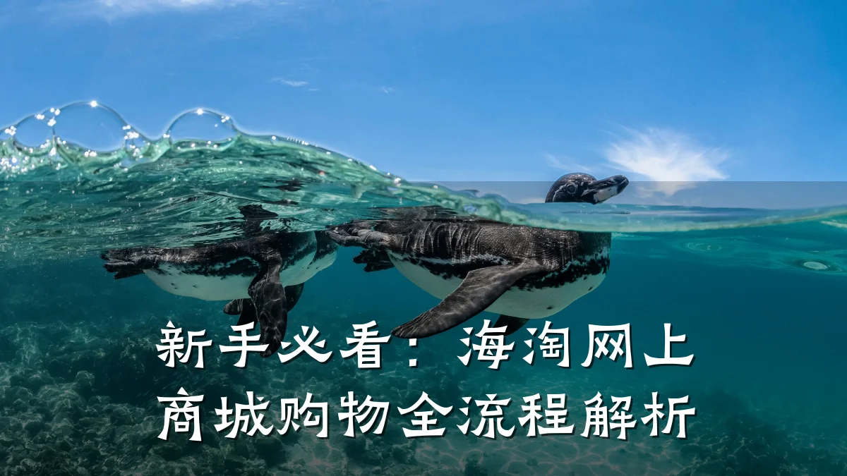 新手必看：海淘网上商城购物全流程解析