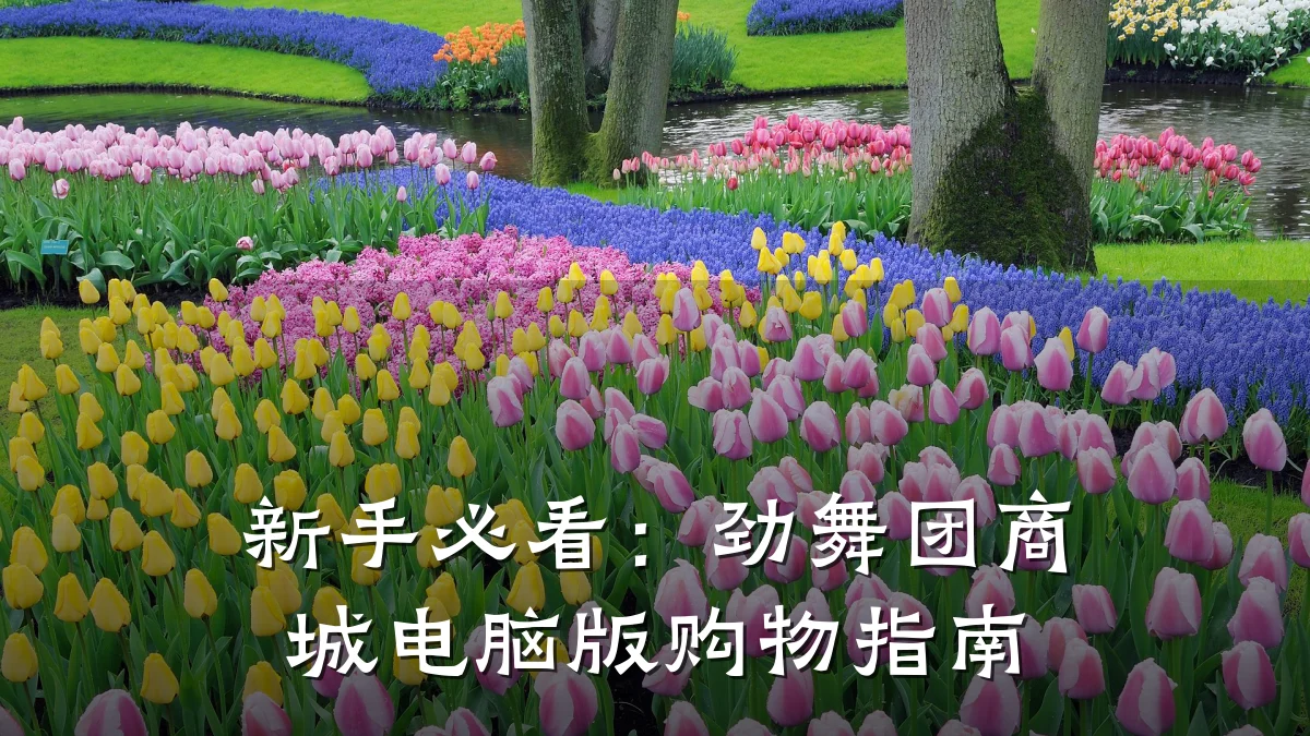 新手必看:劲舞团商城电脑版购物指南