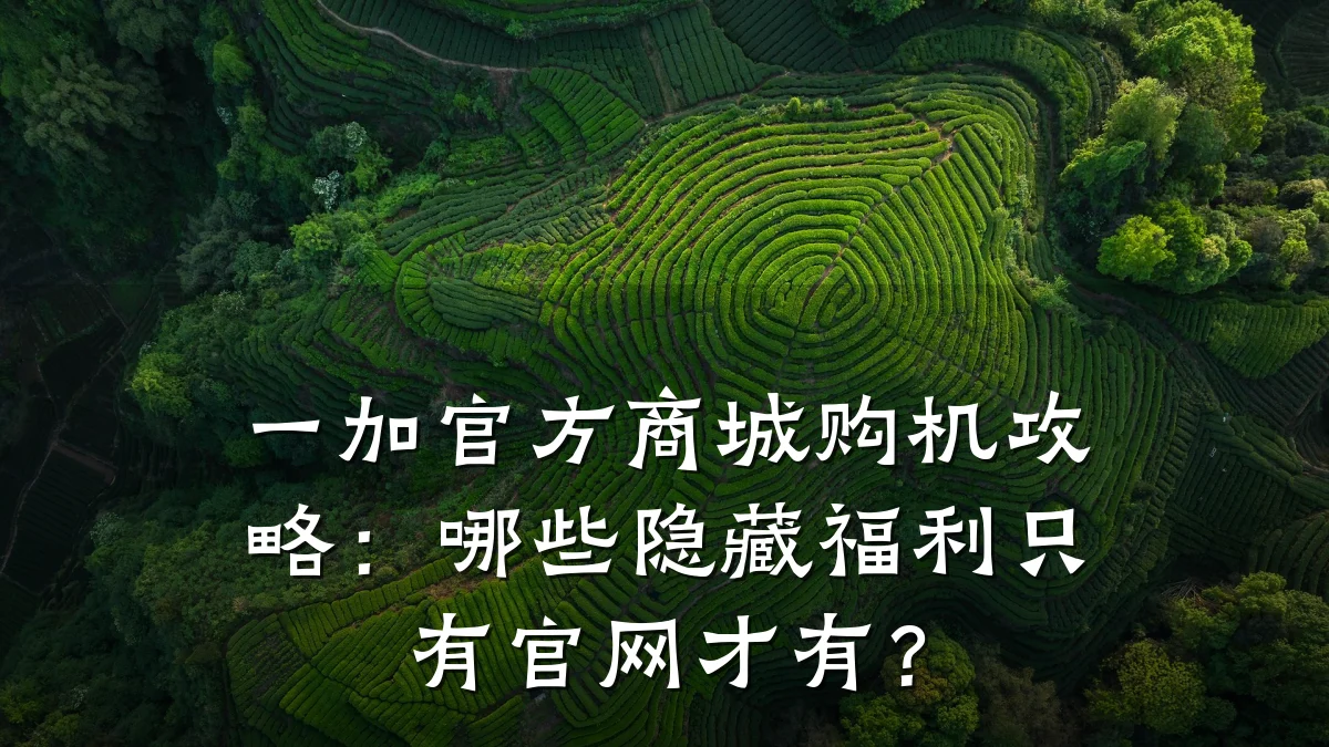 一加官方商城购机攻略：哪些隐藏福利只有官网才有？