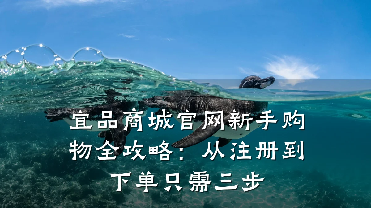 宜品商城官网新手购物全攻略：从注册到下单只需三步