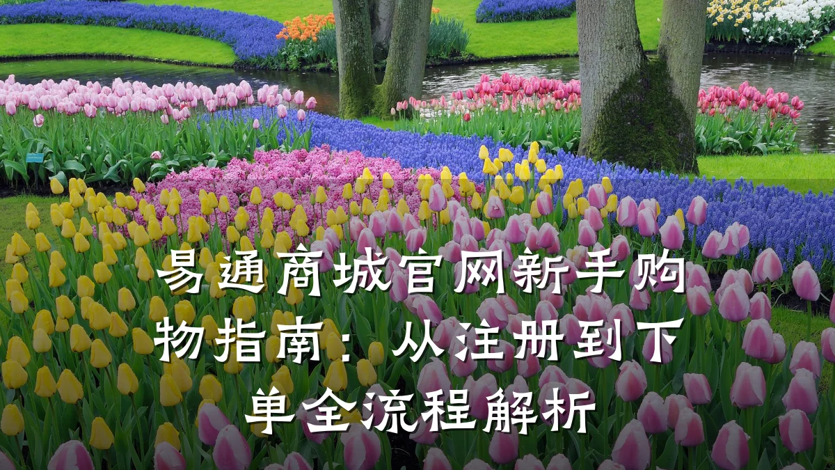 易通商城官网新手购物指南：从注册到下单全流程解析