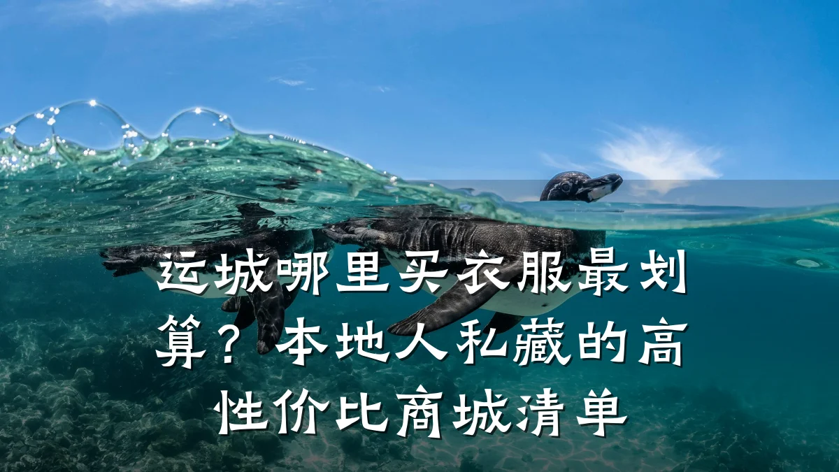 运城哪里买衣服最划算？本地人私藏的高性价比商城清单