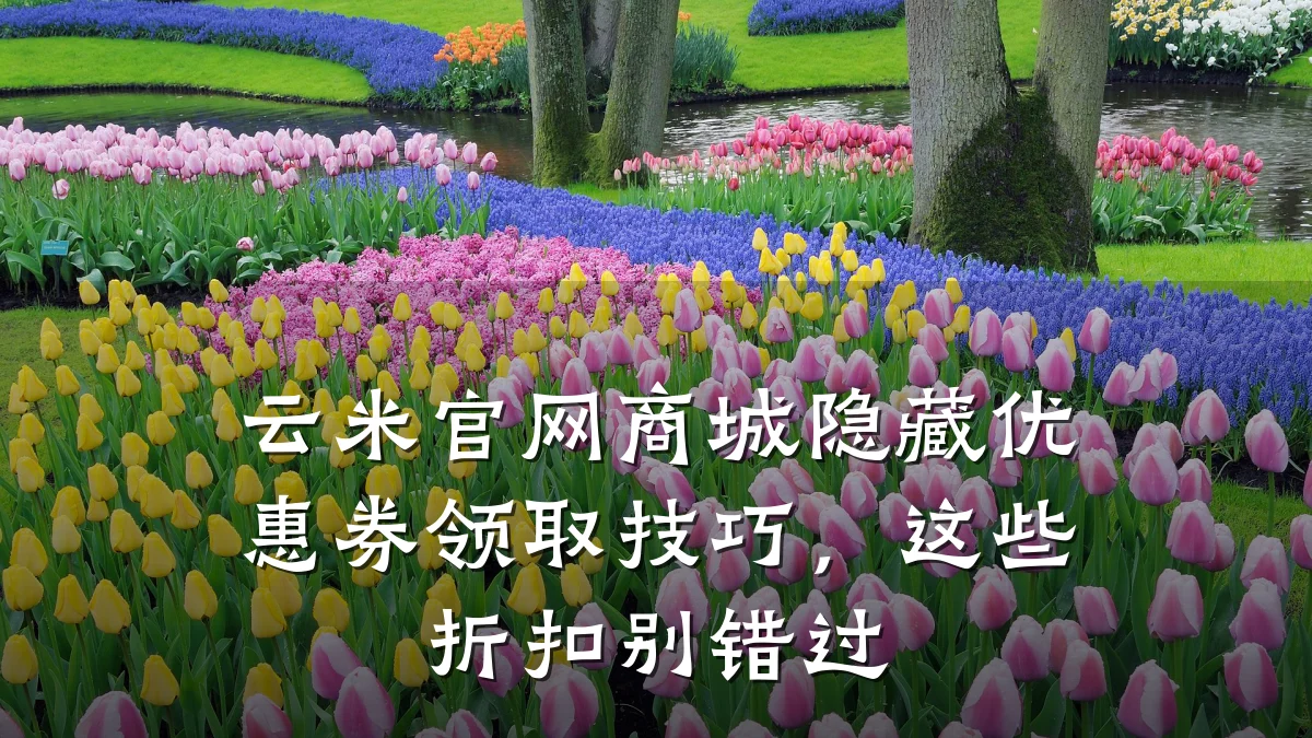 云米官网商城隐藏优惠券领取技巧，这些折扣别错过