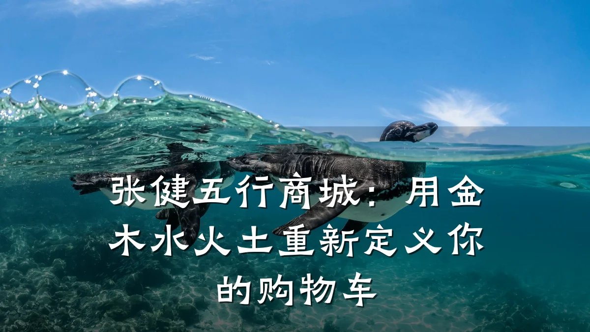 张健五行商城：用金木水火土重新定义你的购物车