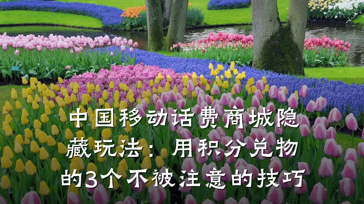 中国移动话费商城隐藏玩法:用积分兑物的3个不被注意的技巧